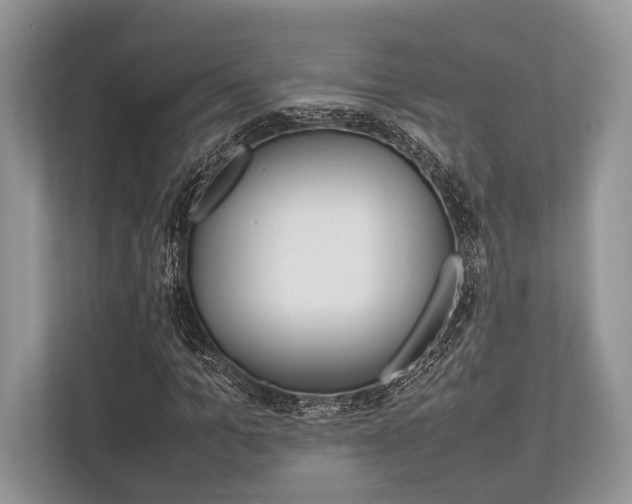 X0000113760965200909230943