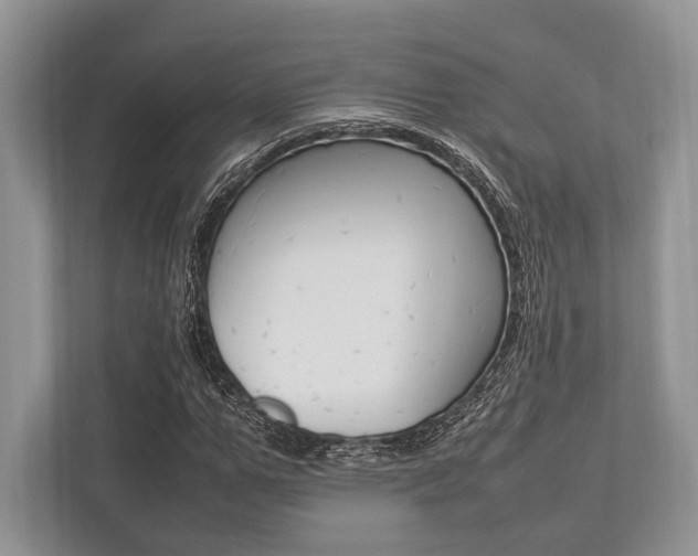 X0000113760967200909230943