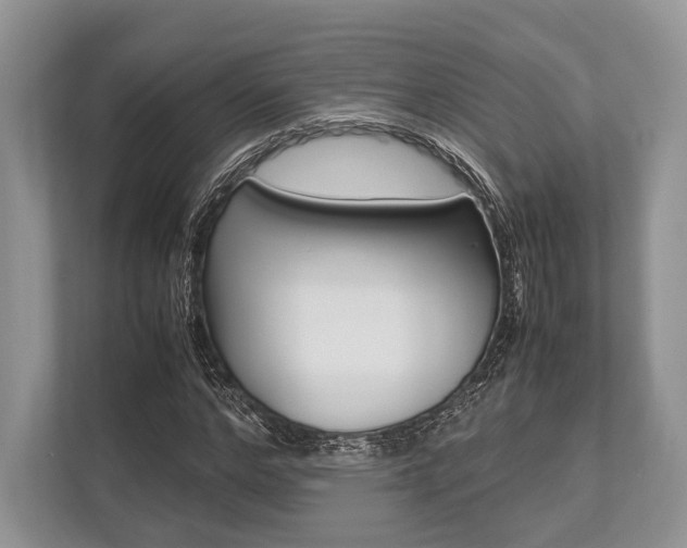 X0000113760968200909230943