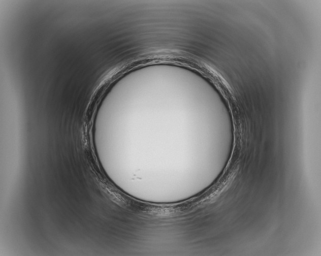 X0000113760970200909230943