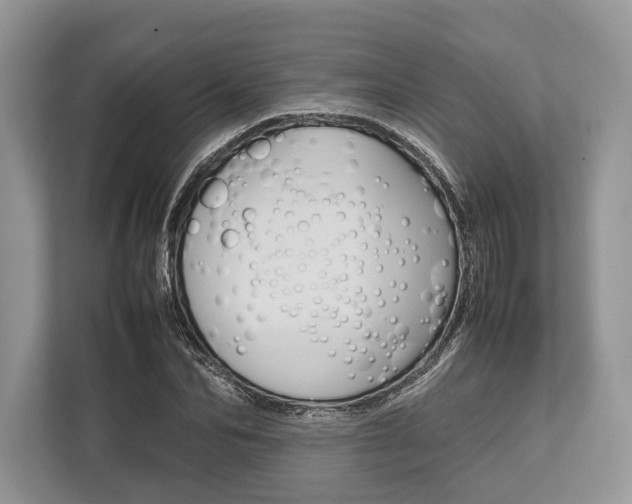 X0000113760974200909230943