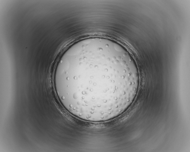 X0000113760978200909230943