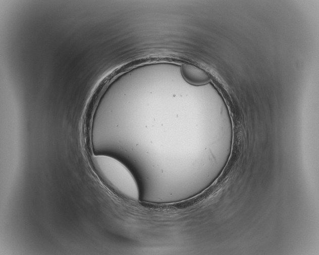 X0000113760979200909230943