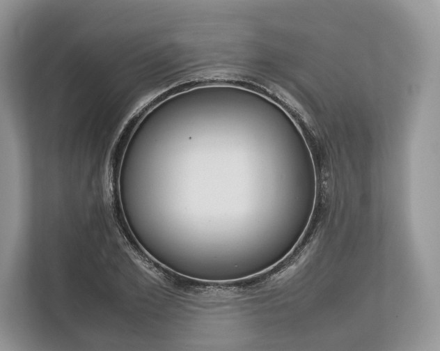 X0000113760981200909230943