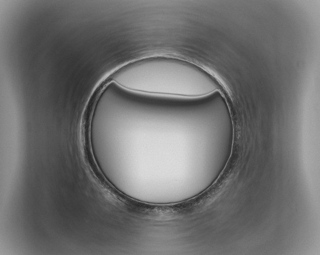 X0000113760983200909230943