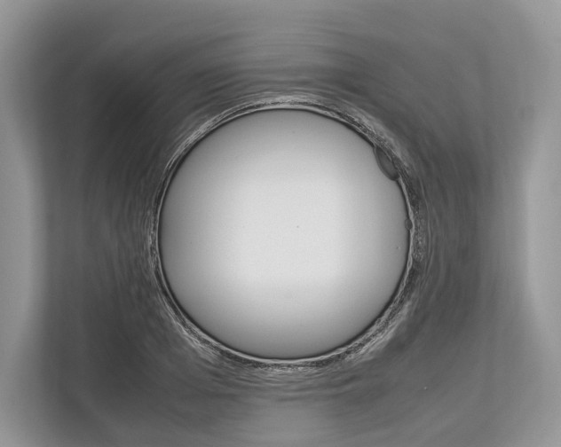 X0000113760985200909230943