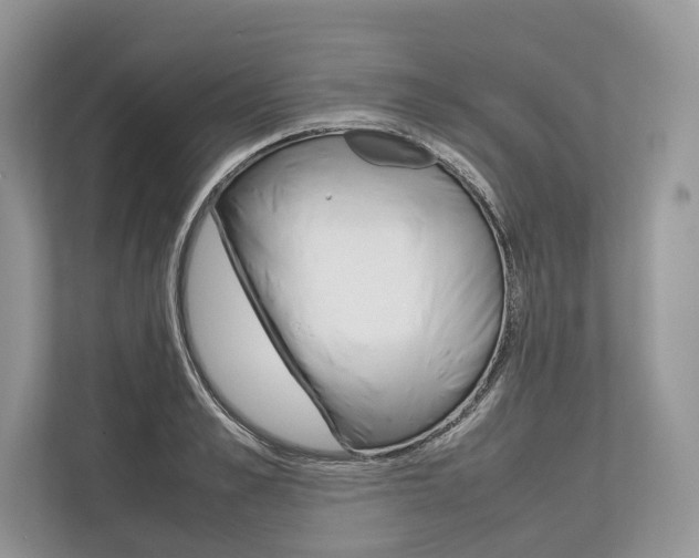 X0000113760989200909230943