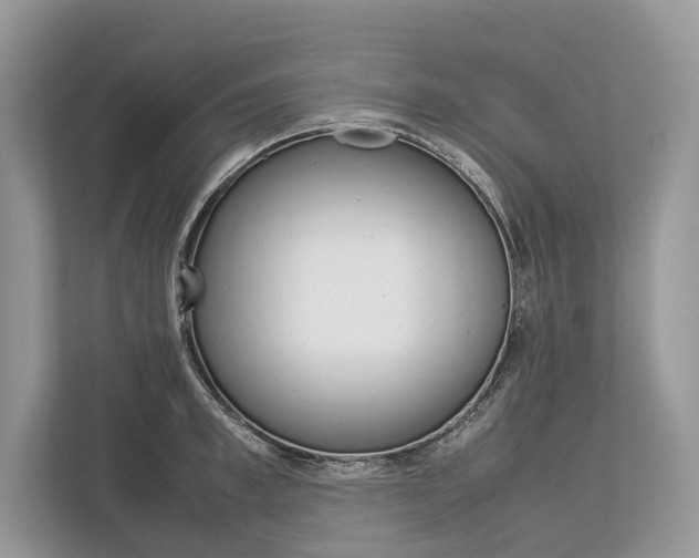 X0000113760997200909230943