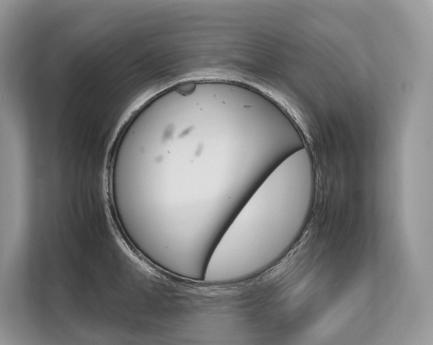 X0000113760998200909230943