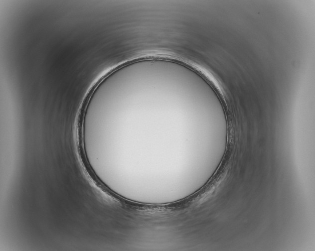 X0000113760999200909230943