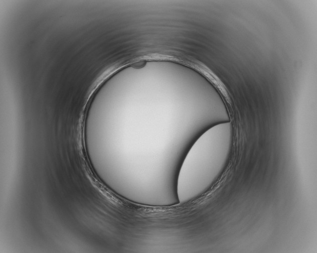 X0000113761002200909230943