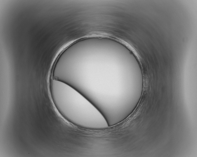 X0000113761003200909230943