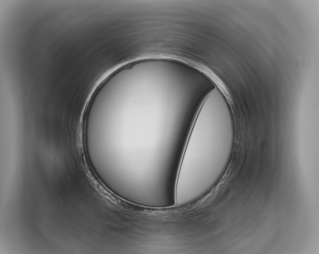 X0000113761004200909230943