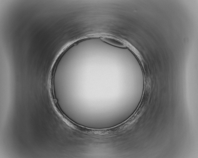 X0000113761005200909230943