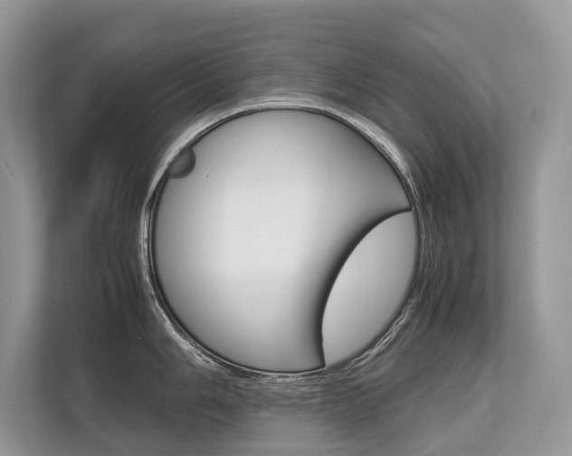 X0000113761006200909230943