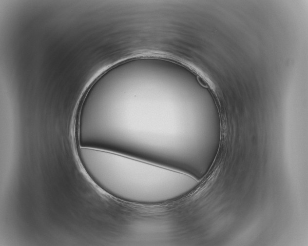 X0000113761007200909230943