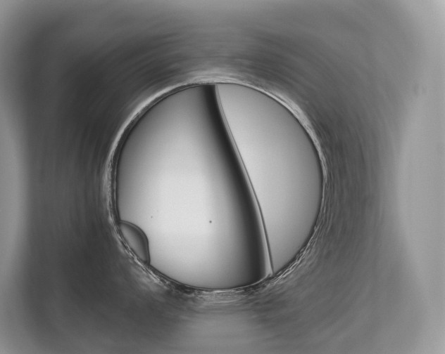 X0000113761008200909230943