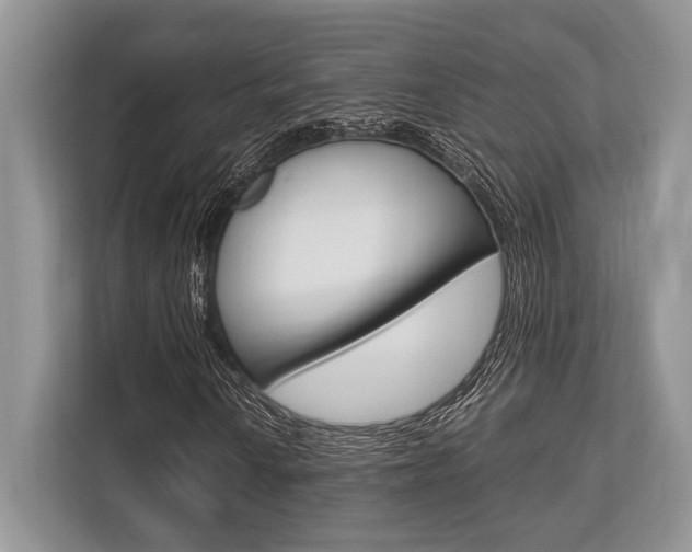 X0000113761010200909230942