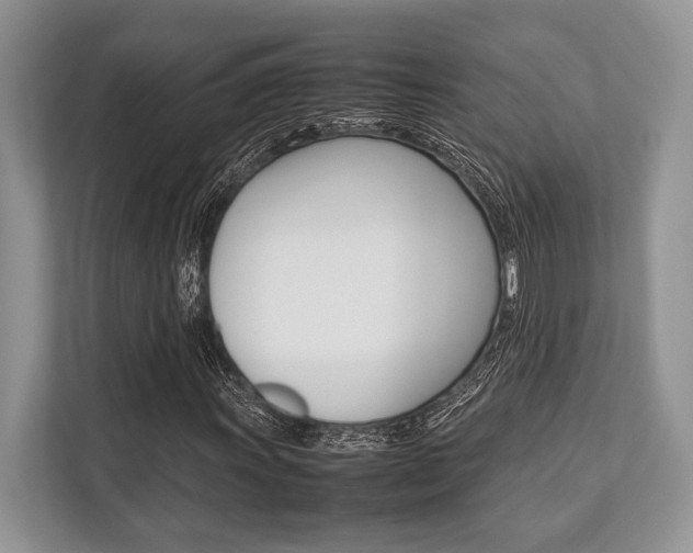 X0000113761011200909230942