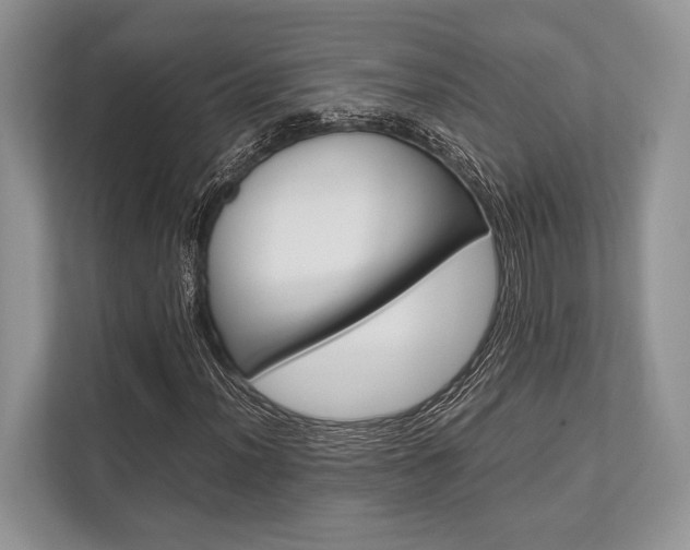 X0000113761012200909230942