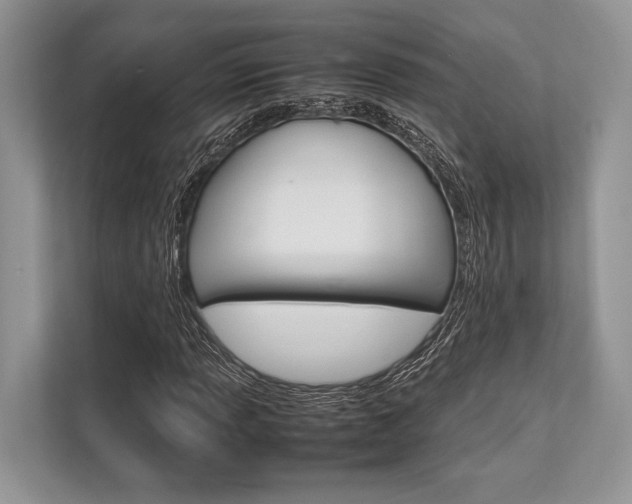 X0000113761013200909230942