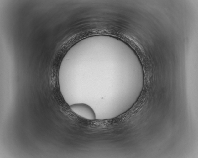 X0000113761015200909230942