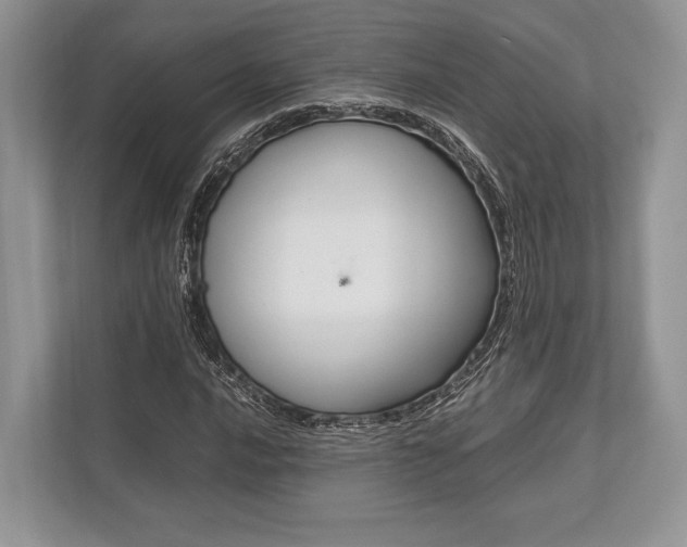 X0000113761016200909230942