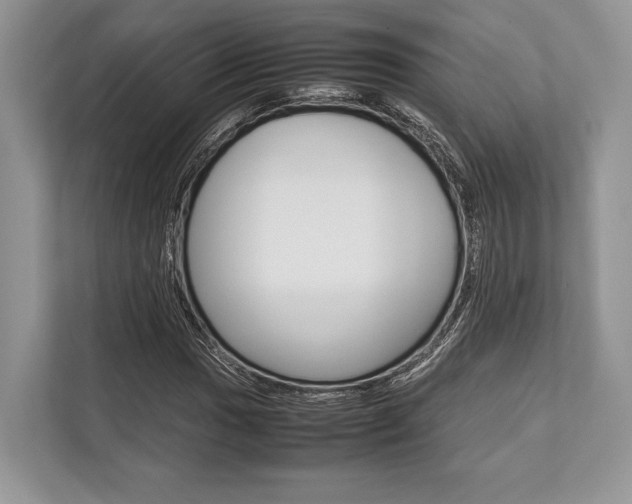 X0000113761017200909230942