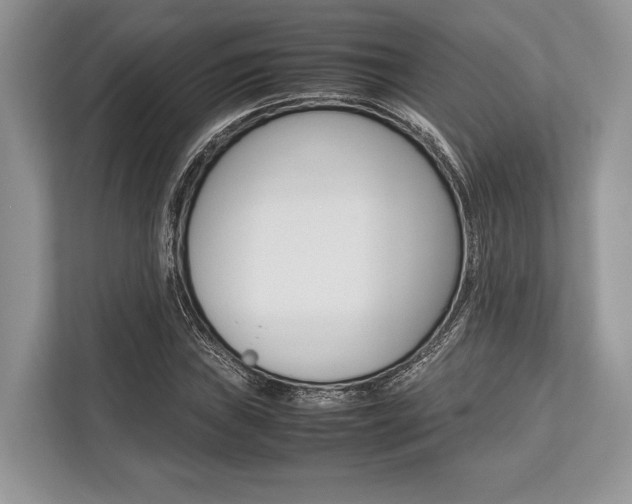 X0000113761019200909230942