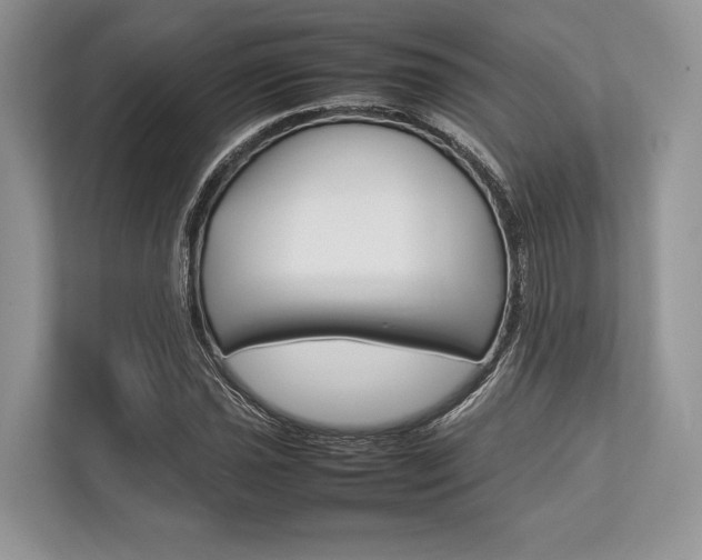 X0000113761021200909230942