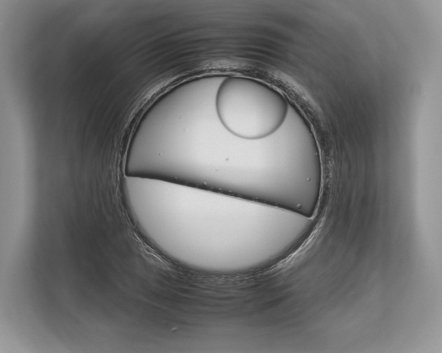 X0000113761025200909230942