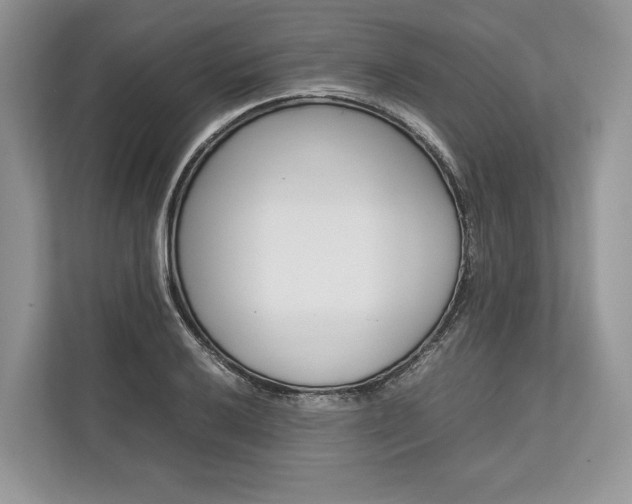 X0000113761032200909230943