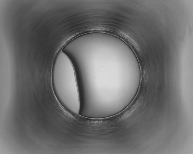 X0000113761033200909230943