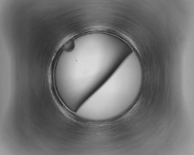 X0000113761034200909230943