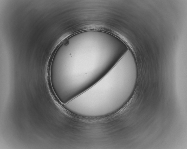 X0000113761042200909230943