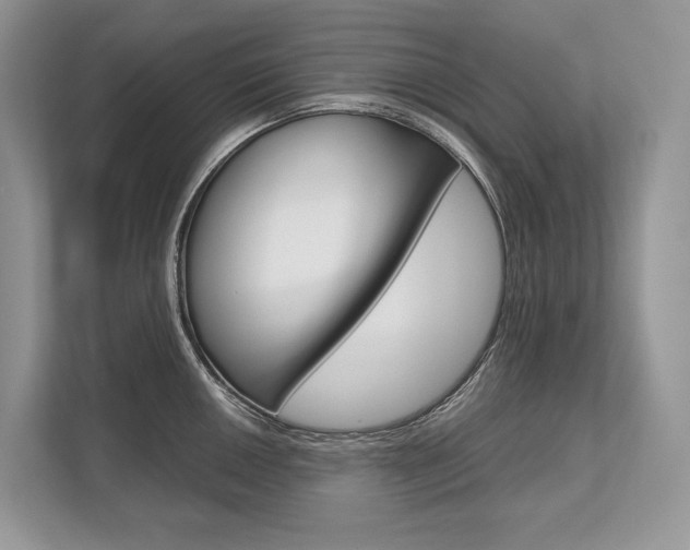 X0000113761050200909230943