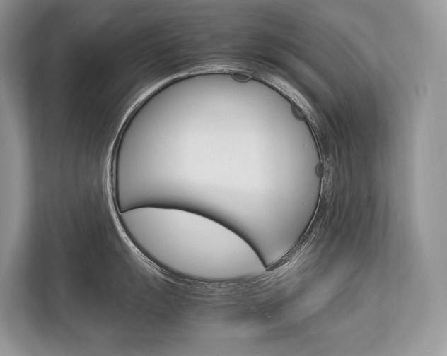 X0000113761055200909230943