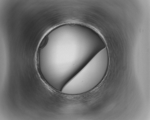 X0000113761056200909230943