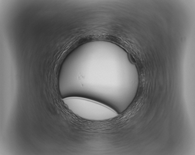 X0000113761057200909230942