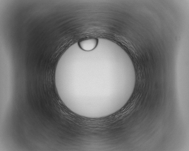 X0000113761060200909230942