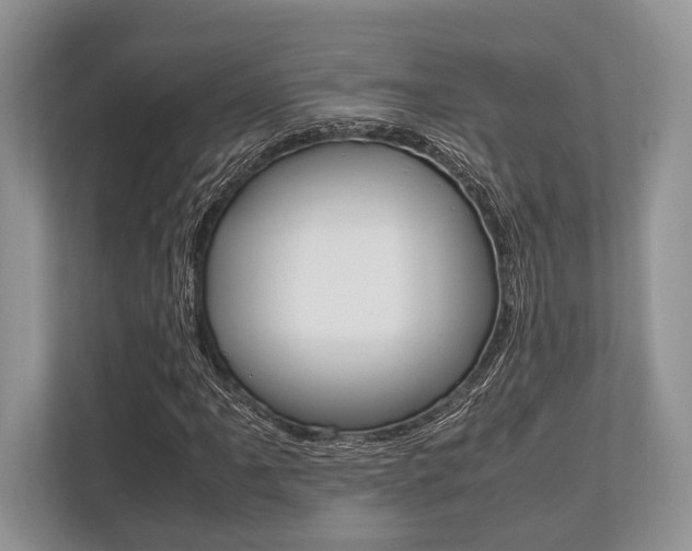X0000113761061200909230942