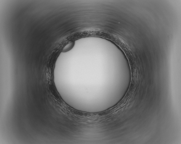 X0000113761062200909230942