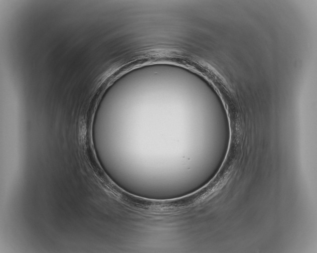 X0000113761065200909230942