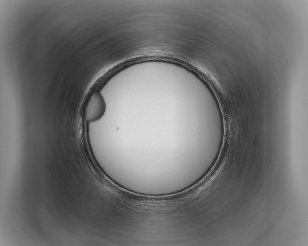 X0000113761070200909230942