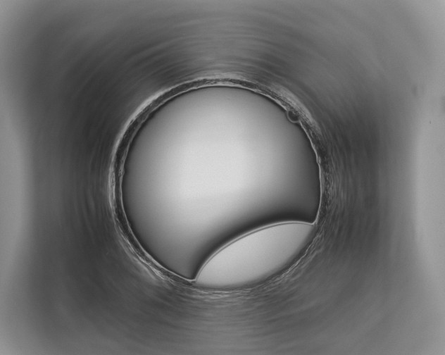 X0000113761076200909230942