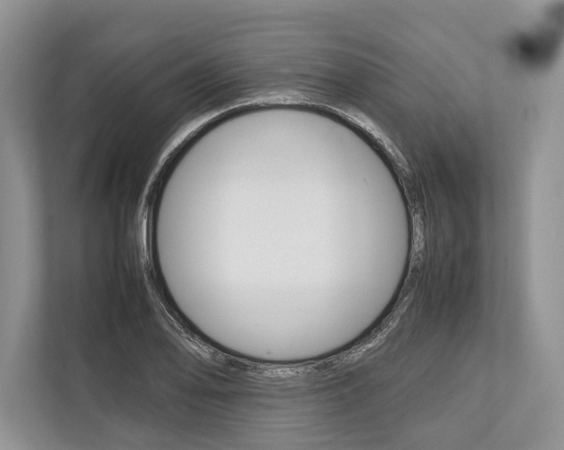 X0000113761078200909230942