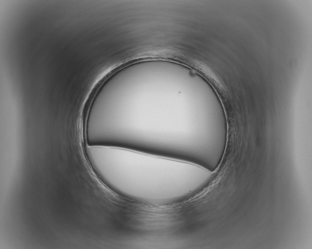 X0000113761079200909230942