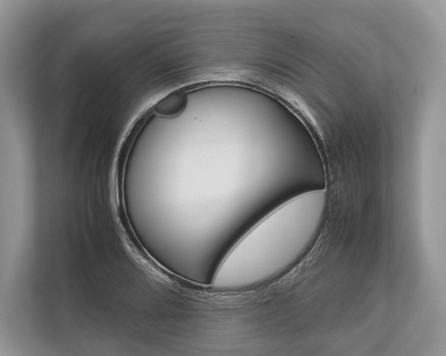 X0000113761080200909230942