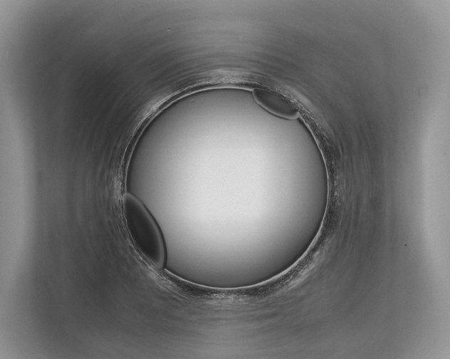 X0000113761081200909230942