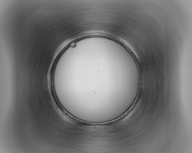 X0000113761082200909230942